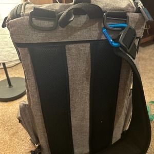 Luxury Travel for pets!